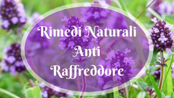 233826a67be66a810b23a263230da62e_L