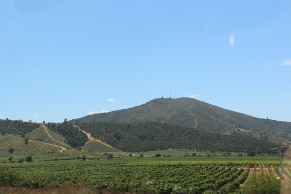 c889234799e865bbe90cee71f6cd2e53_L