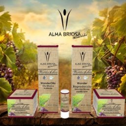 ffee2447b152494b43d9816faaea83c8_M