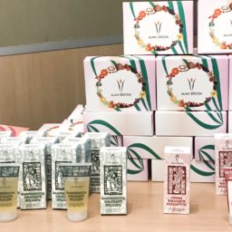 bebibi linea maya alma briosa