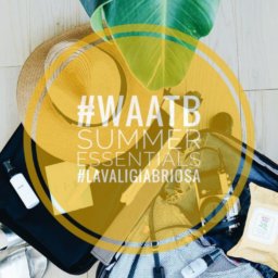 waatb la valigia briosa