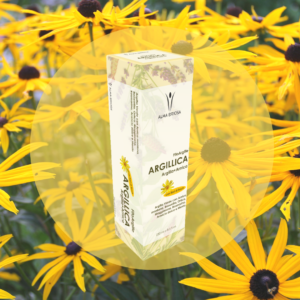 argillica alma briosa